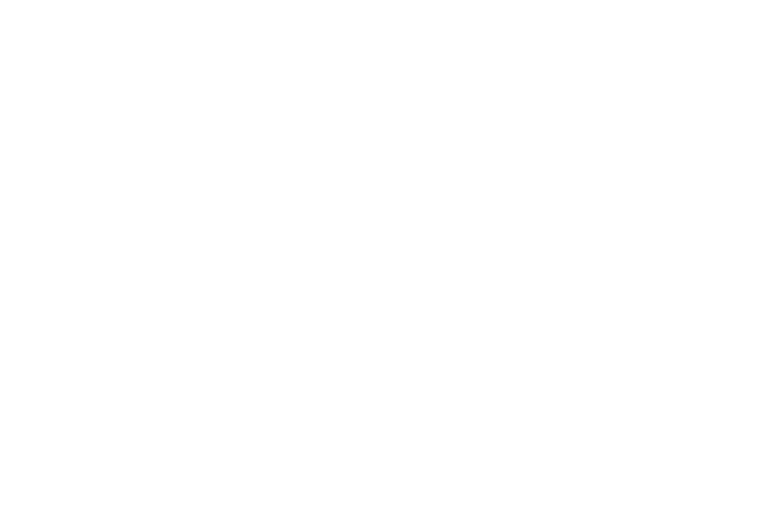 Baltic Scaffolding LTD